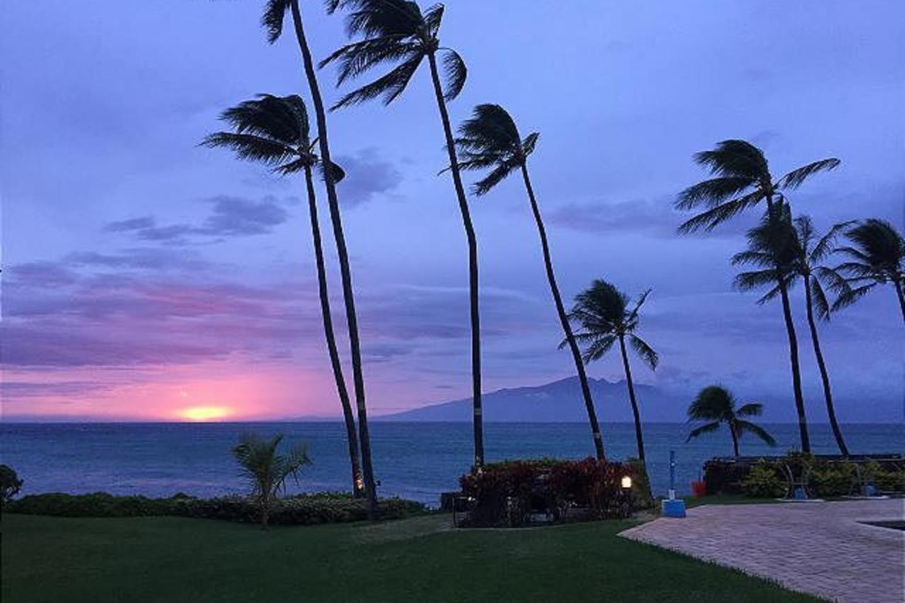 Mahina Surf I Villa Napili-Honokowai Exteriör bild